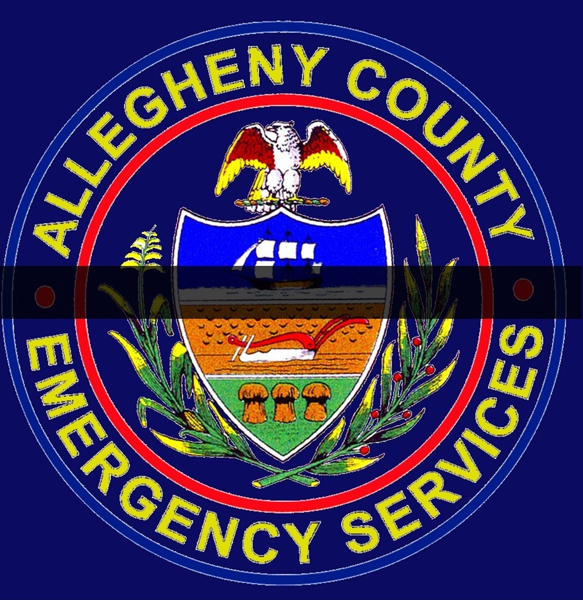 Allegheny County Emergency Services